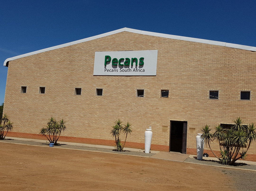 Olives South Africa-Hartswater必去景点