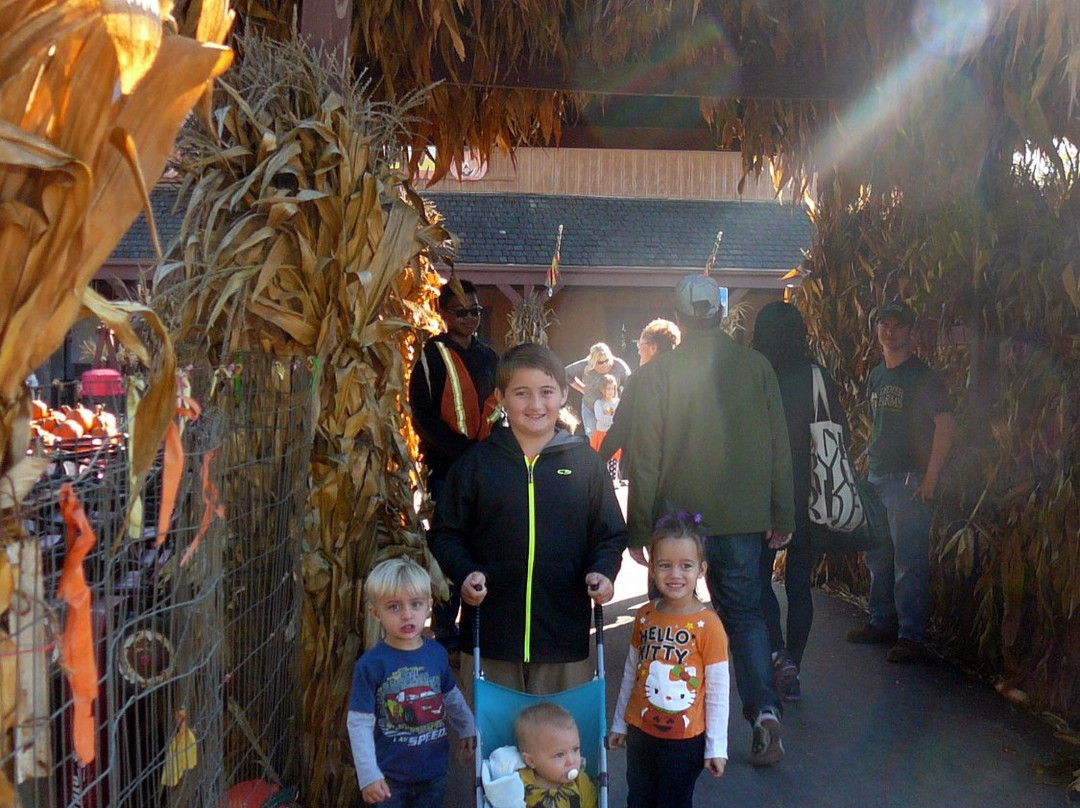 Didier Farms-Lincolnshire必去景点