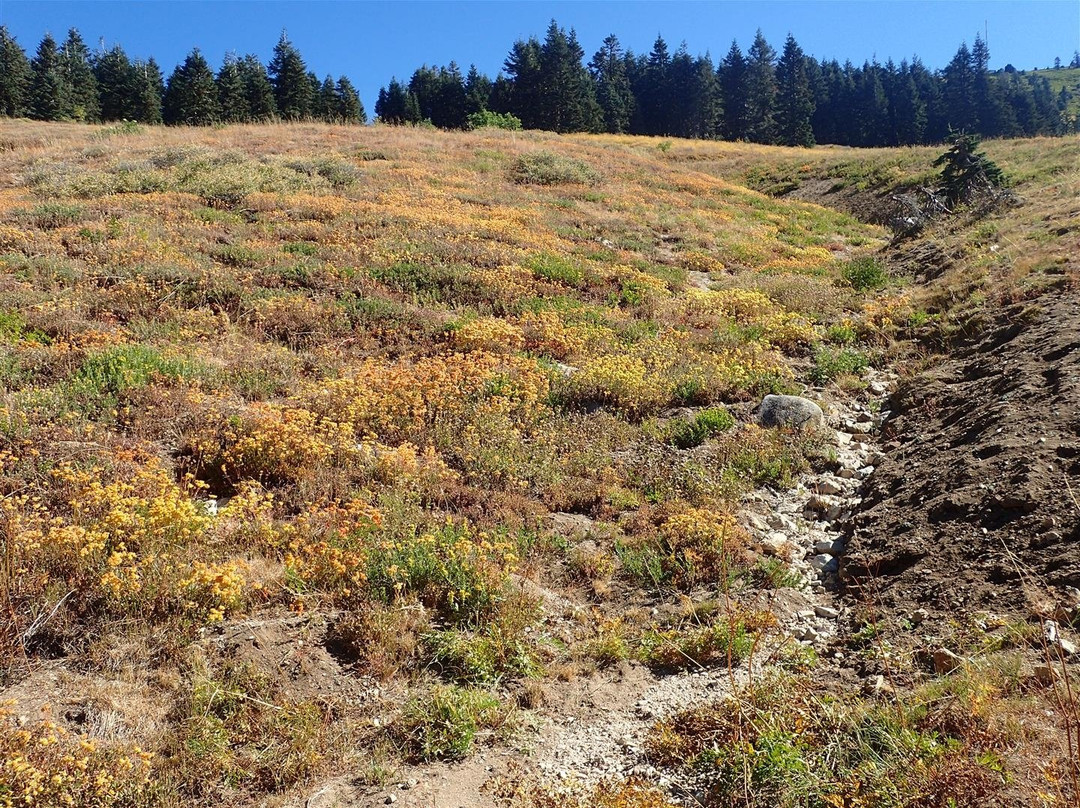 Mount Ashland-阿什兰必去景点