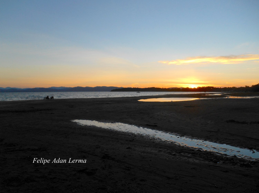 Leddy Park-伯灵顿必去景点