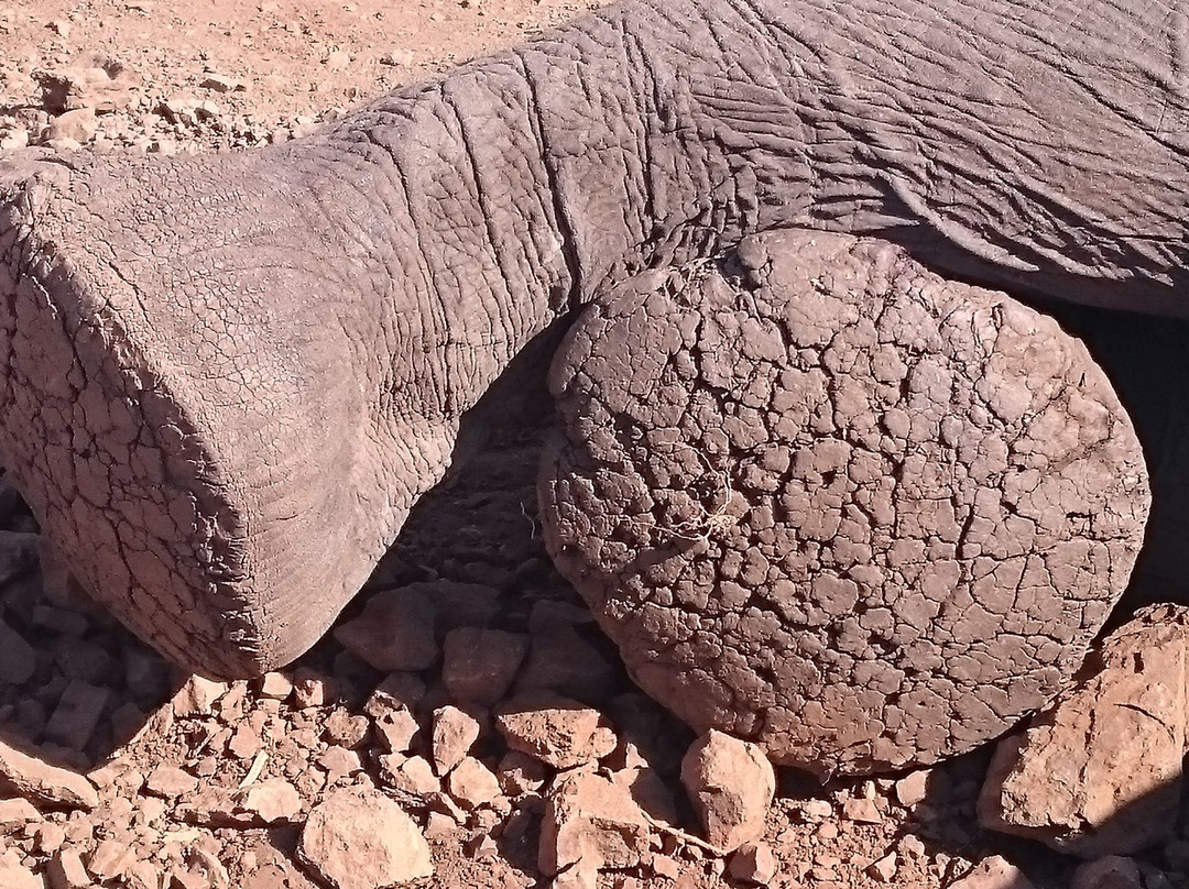 Bundu Enterprises-玛洛斯帕克必去景点