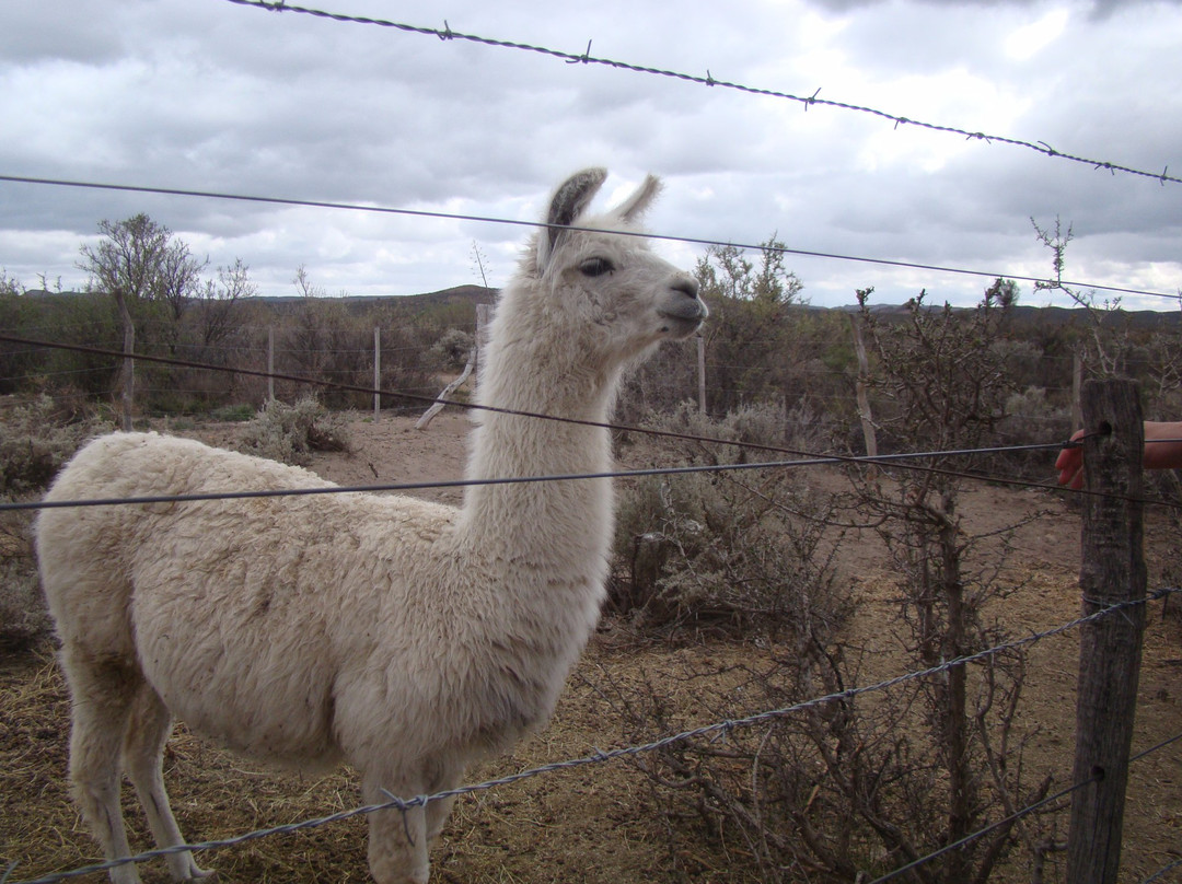 Museo Historico Militar-圣拉斐尔必去景点