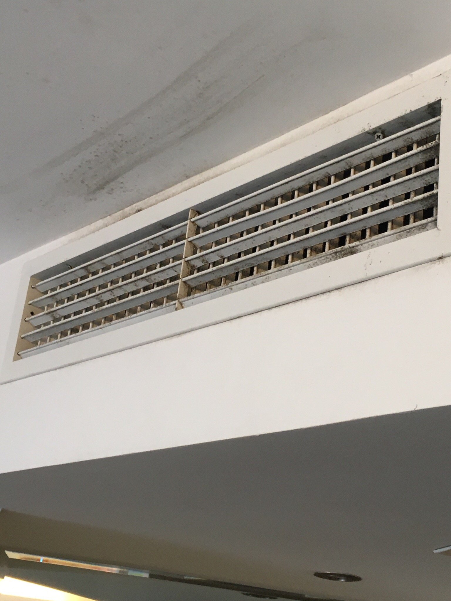 上海桔子酒店公平路北外滩精选酒店-官方