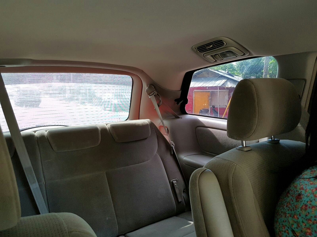 Optima Taxi Samana景点图片
