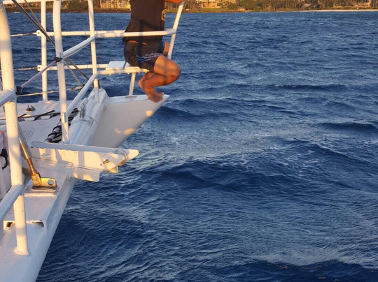 Ocean Sports Cruises-威可洛亚必去景点