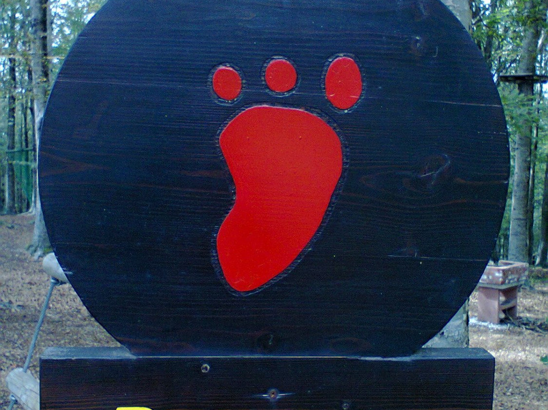 Orme nel Parco-Zagarise必去景点