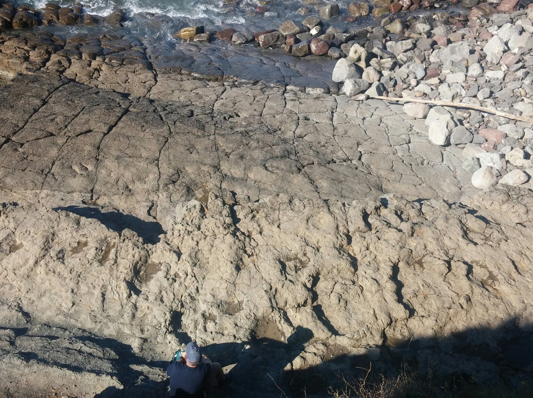 Yacimiento de Icnitas de la playa de la Griega景点图片