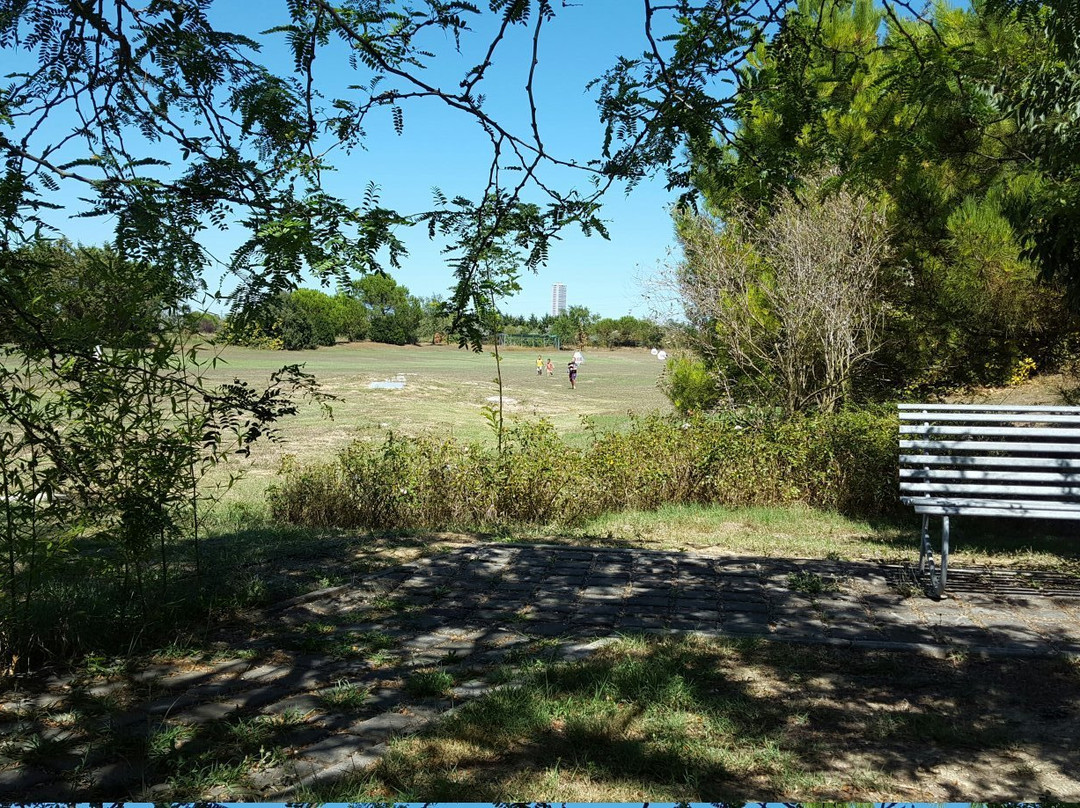 Villalta酒店住宿-Rose Canine