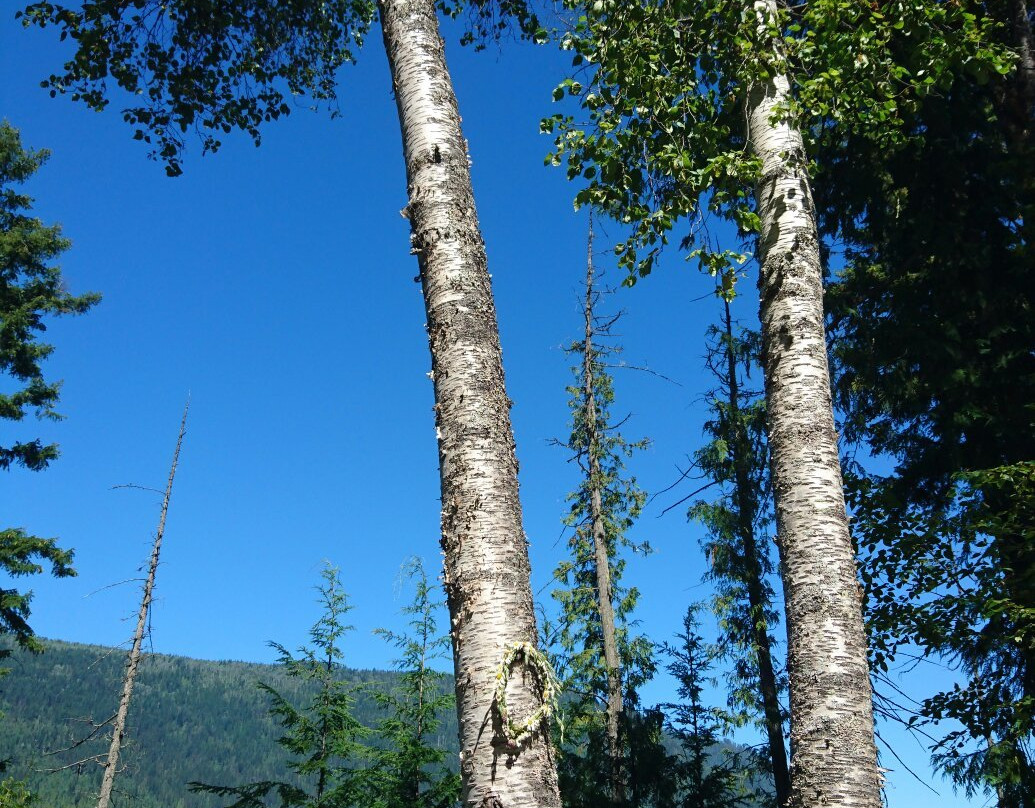Mabel Lake Provincial Park-Lumby必去景点