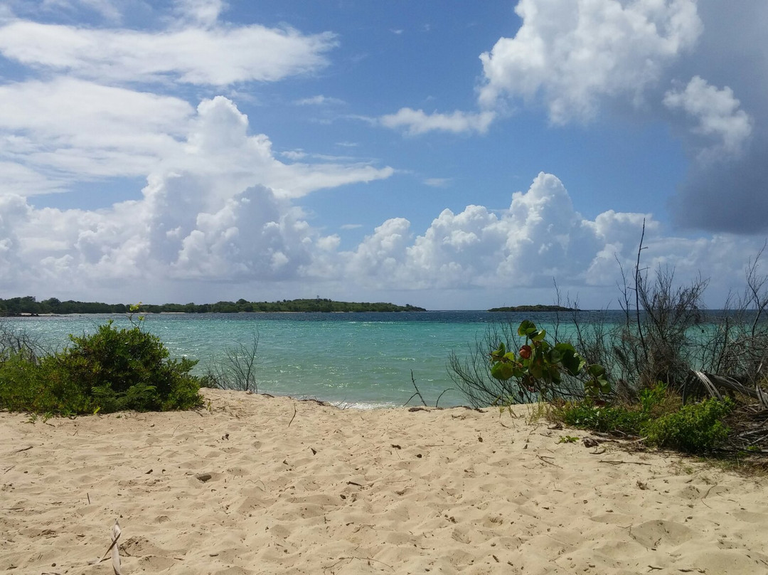 Vieques National Wildlife Refuge-维切克岛必去景点
