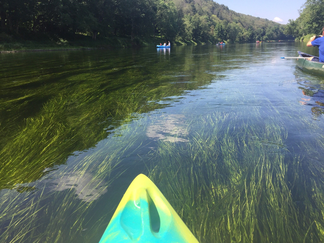 Shawnee River Trips景点图片