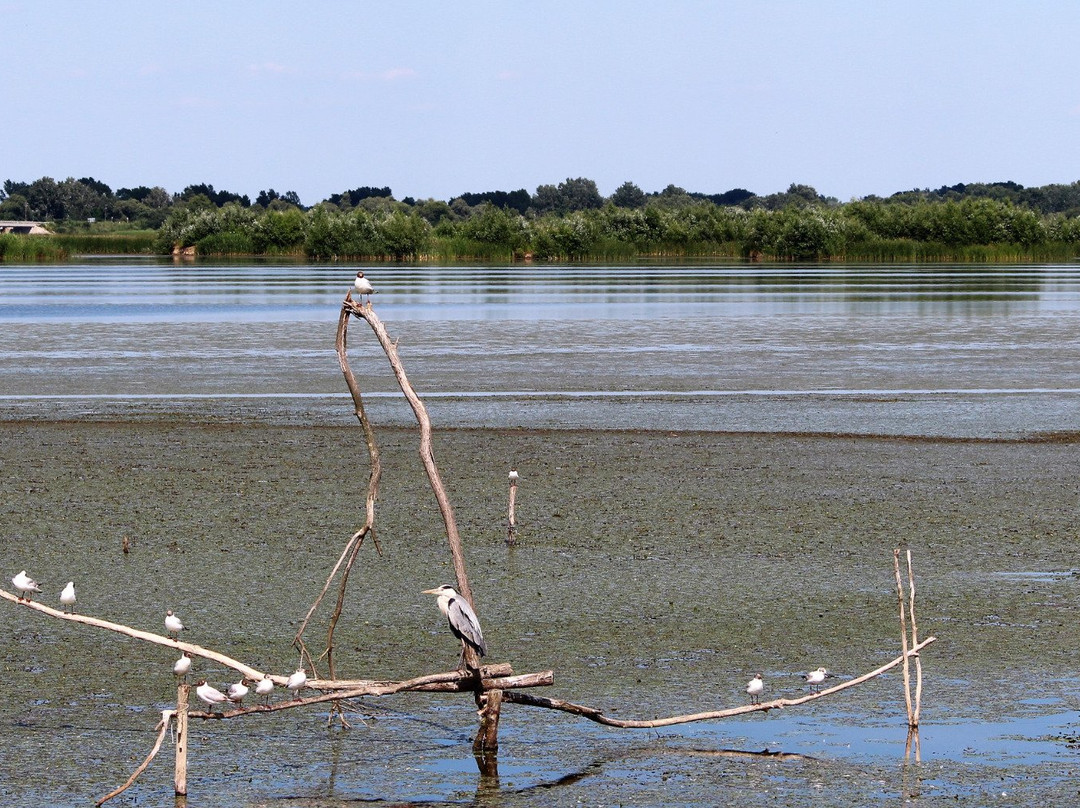 Poroszló - Ecotour Centre景点图片