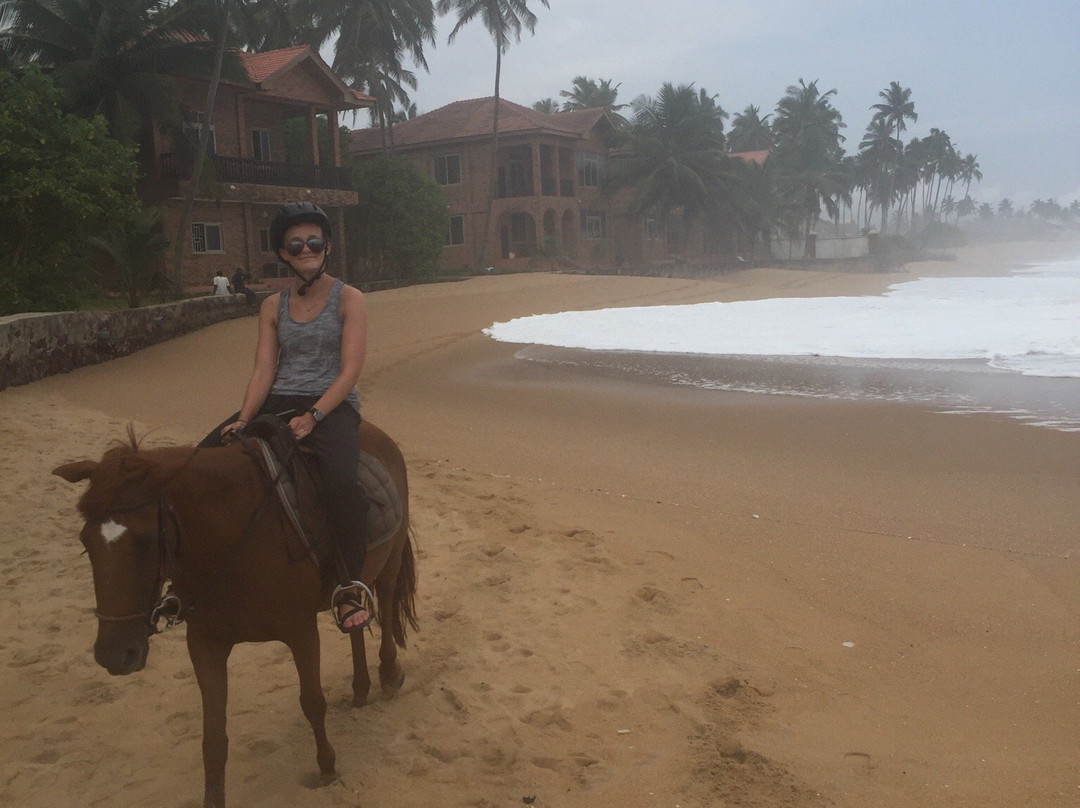 Coconut Grove African Village主图