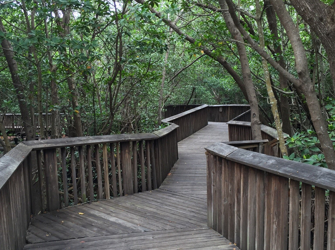 James A. Rutherford Park-博卡拉顿必去景点