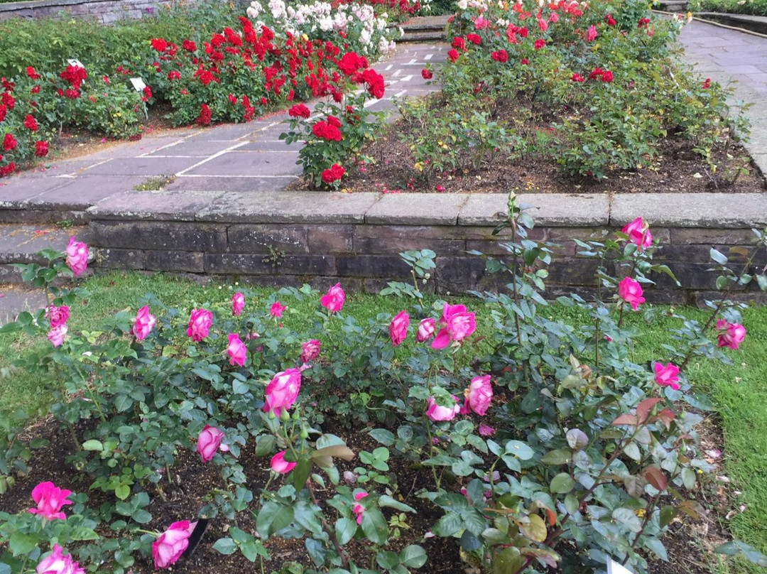 Stadtpark-汉诺威必去景点