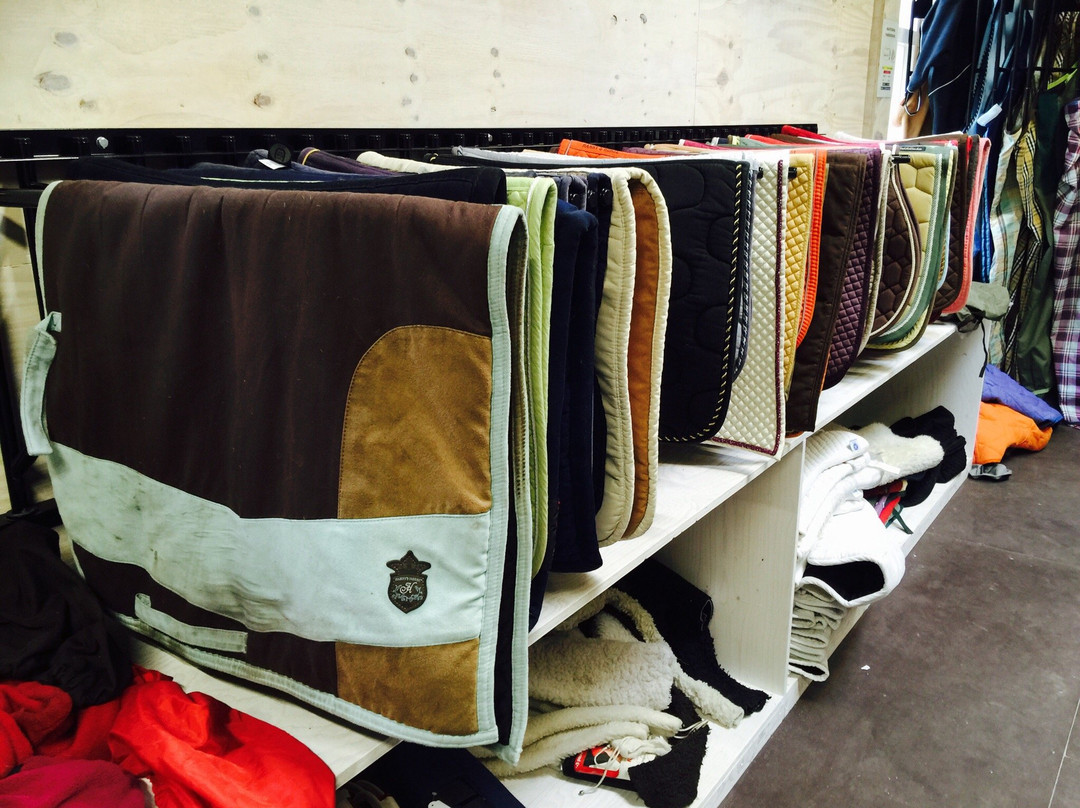 De Paardenkamp - Boerderij Vosseveld-索斯特必去景点