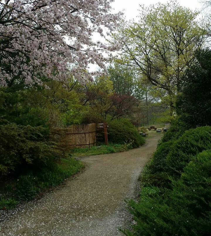 Kicheongsan Botanical Gardens-浦项市必去景点