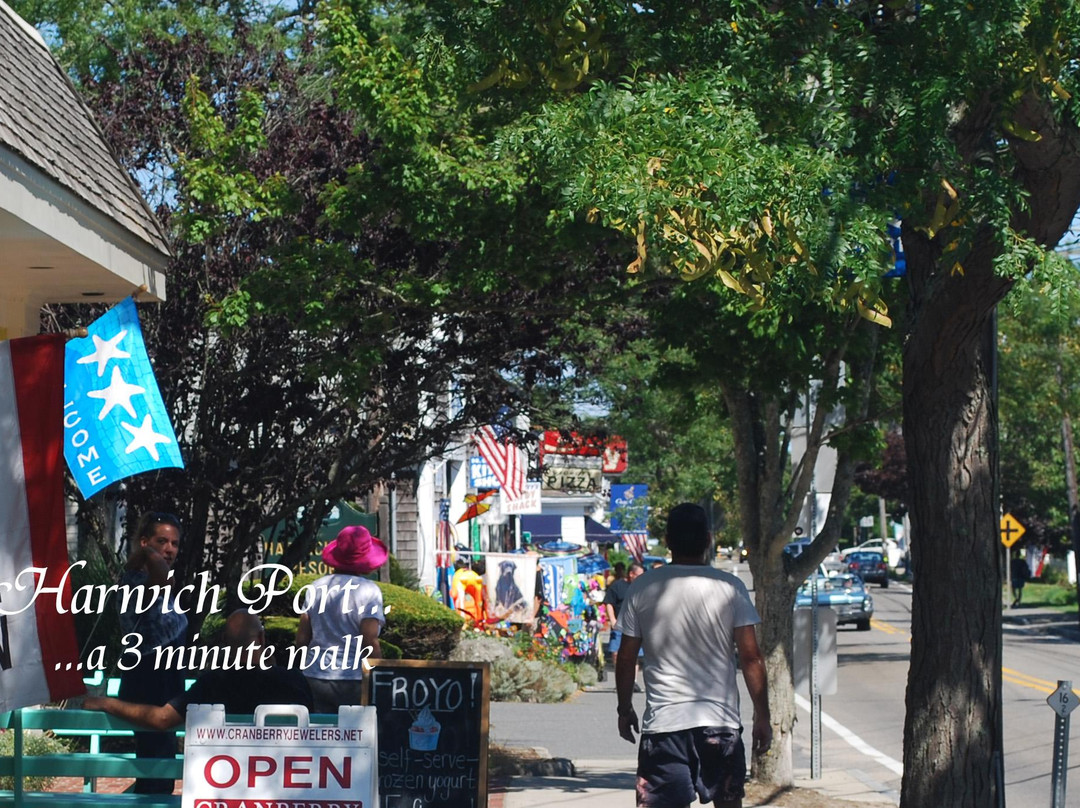 Kingfisher Harwich Port主图