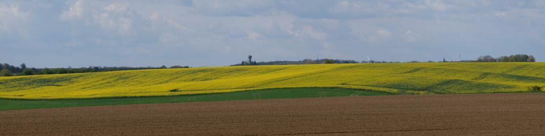 Somme American Cemetery and Memorial-Bony必去景点