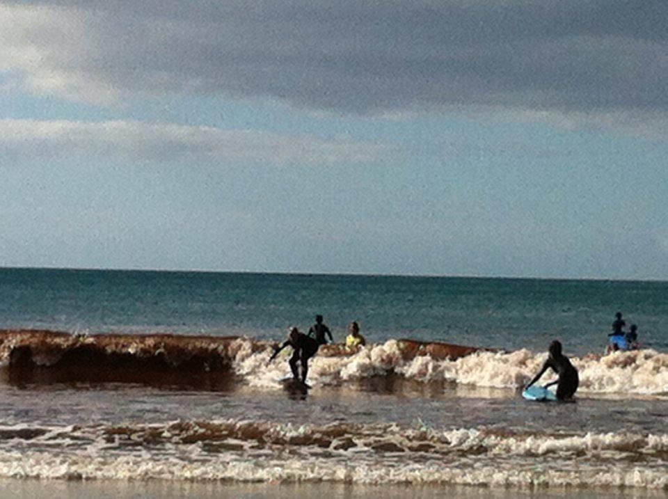 Tutukaka Surf Experience景点图片
