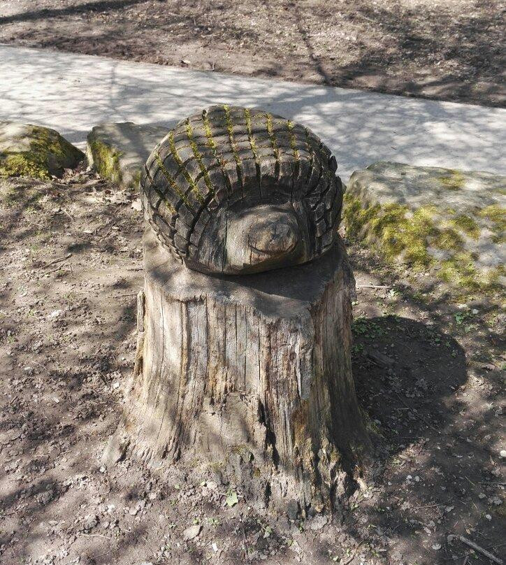 Waldklettergarten Pforzheim景点图片