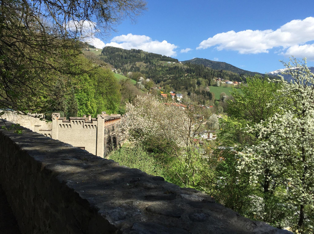 Schloss Wolfsberg景点图片