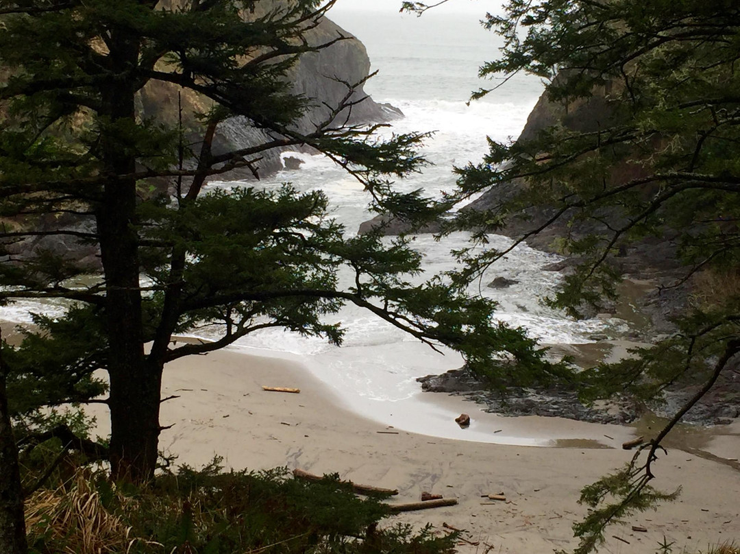 Willapa National Wildlife Refuge景点图片