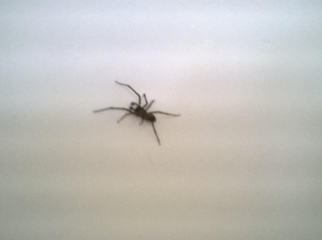 Bayside Inn & Suites