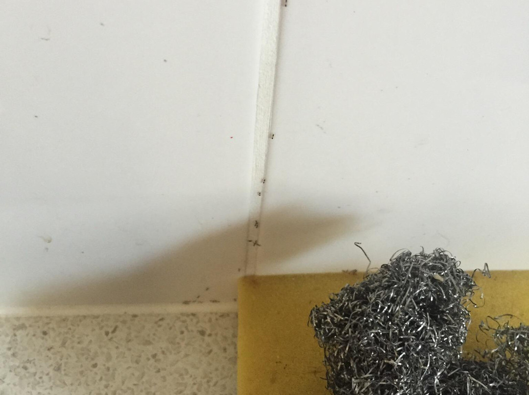 Railway Hotel Bundaberg主图