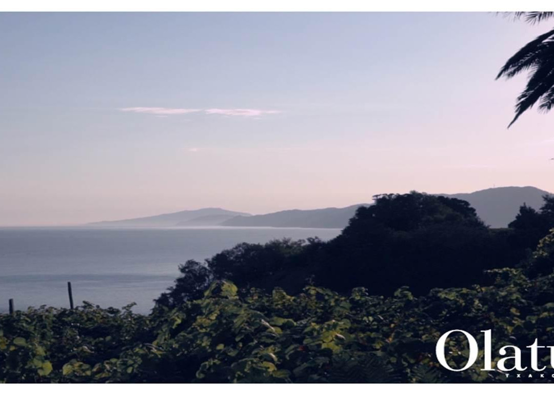 Olatu Txakoli-格塔里亚镇必去景点