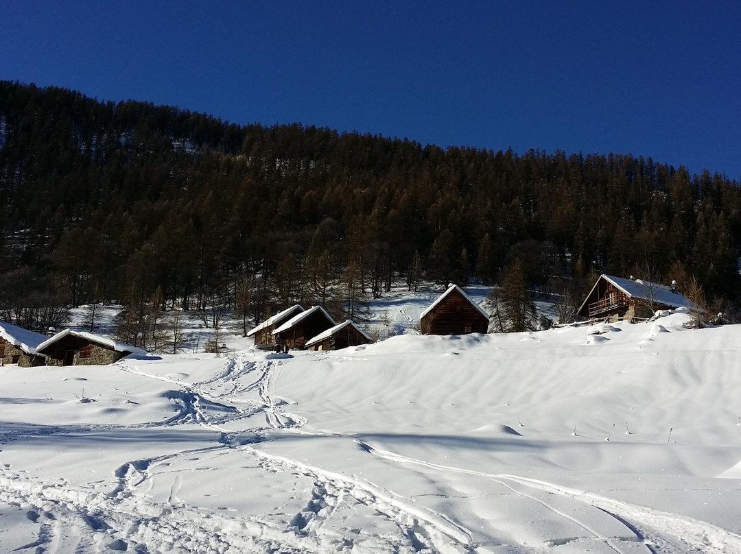 Vallon de Narreyroux景点图片