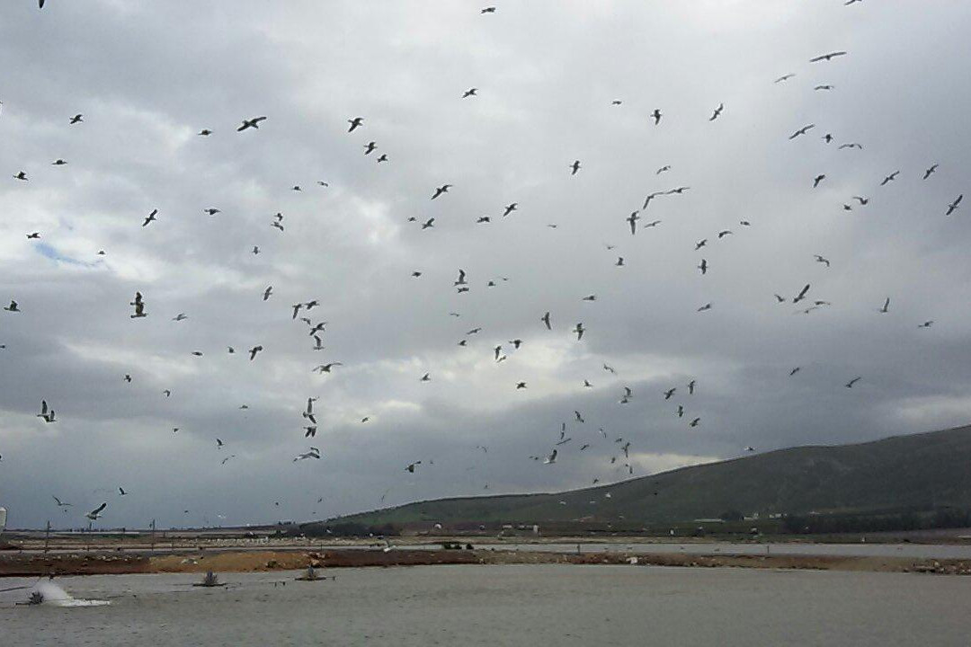 Park of Springs-Nir David必去景点