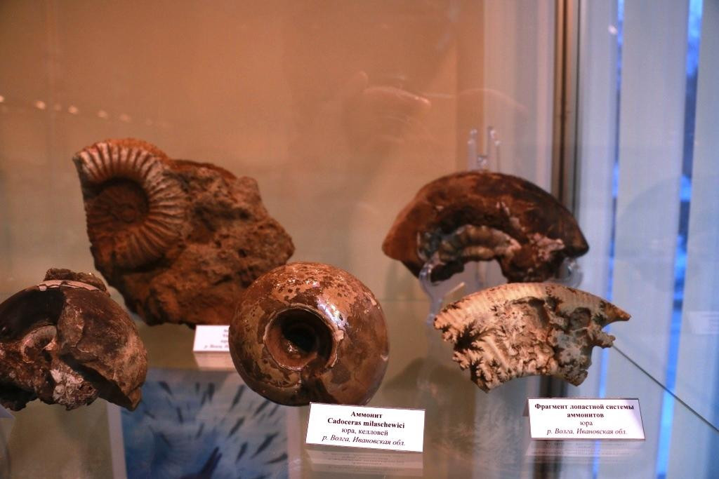 Ivanovo Museum of a Stone-伊凡诺沃必去景点