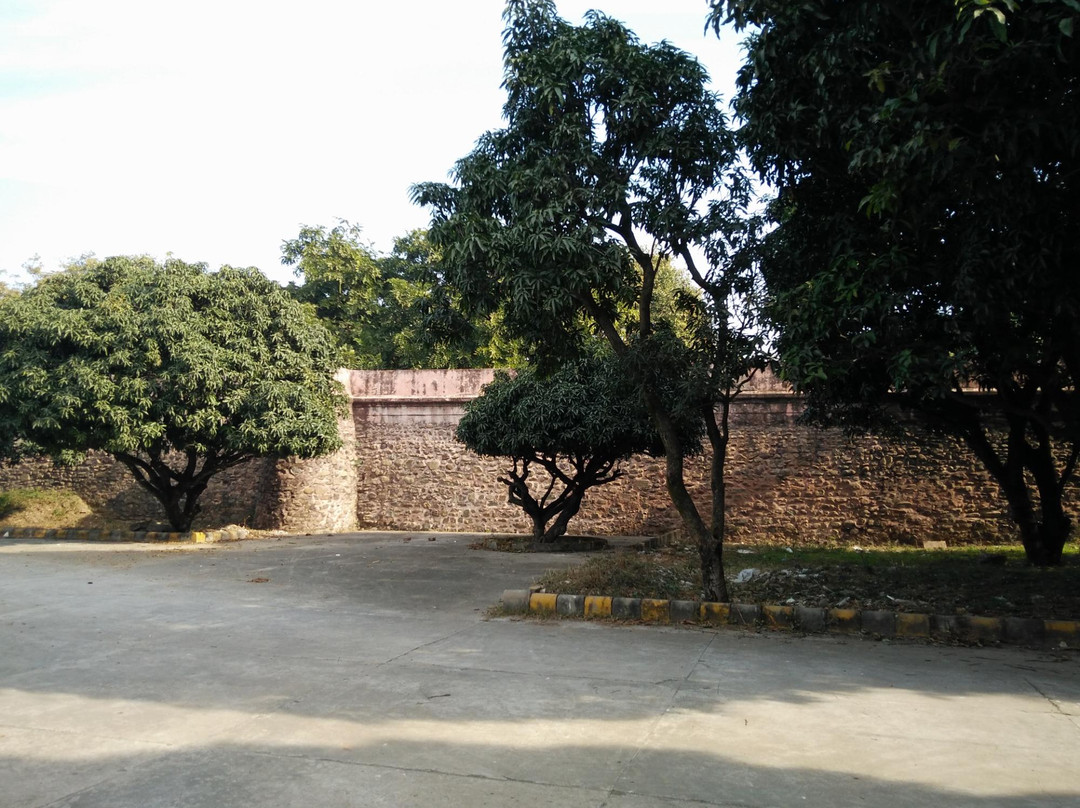 Yadvinder Garden景点图片