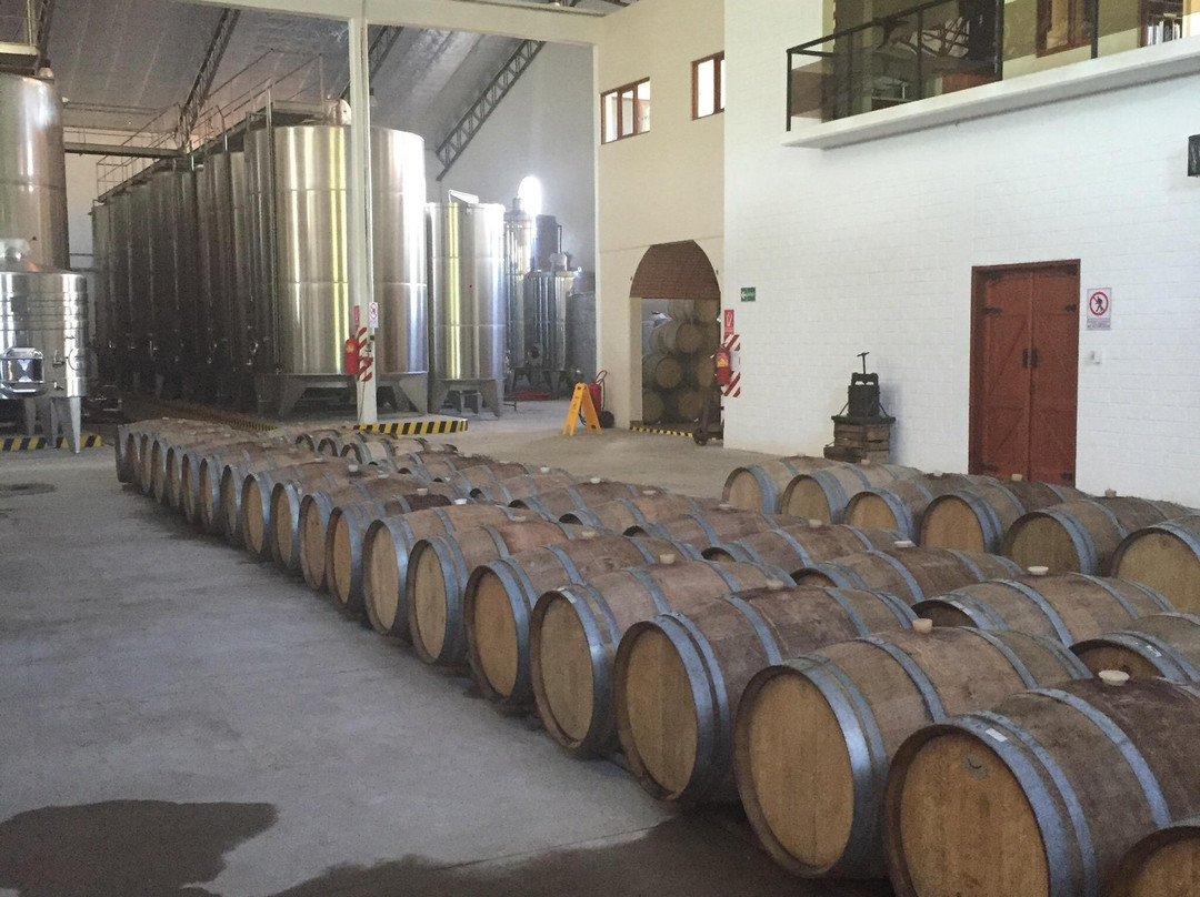 Bodega Casa Real-塔里哈必去景点