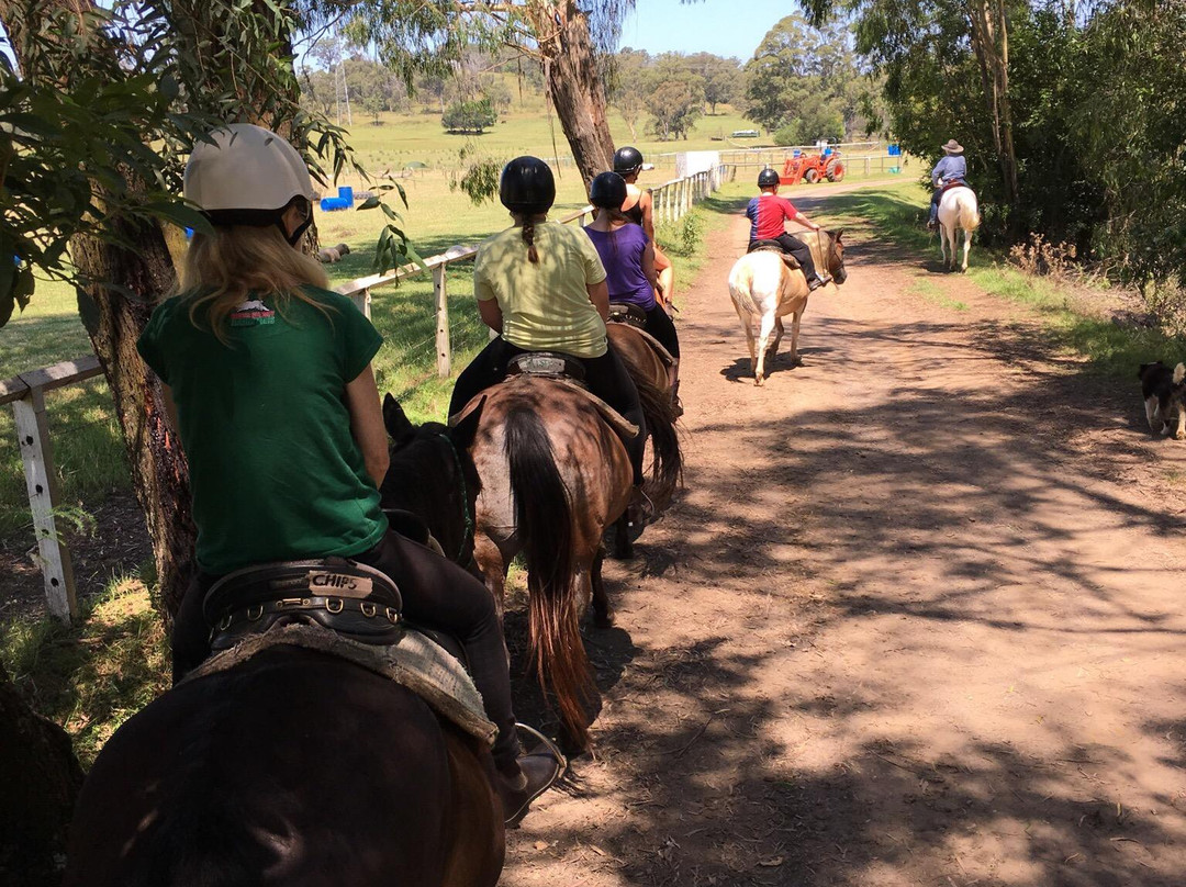Mowbray Park Holidays-Picton必去景点