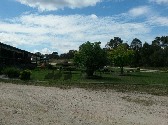 Bendemeer旅游攻略图片