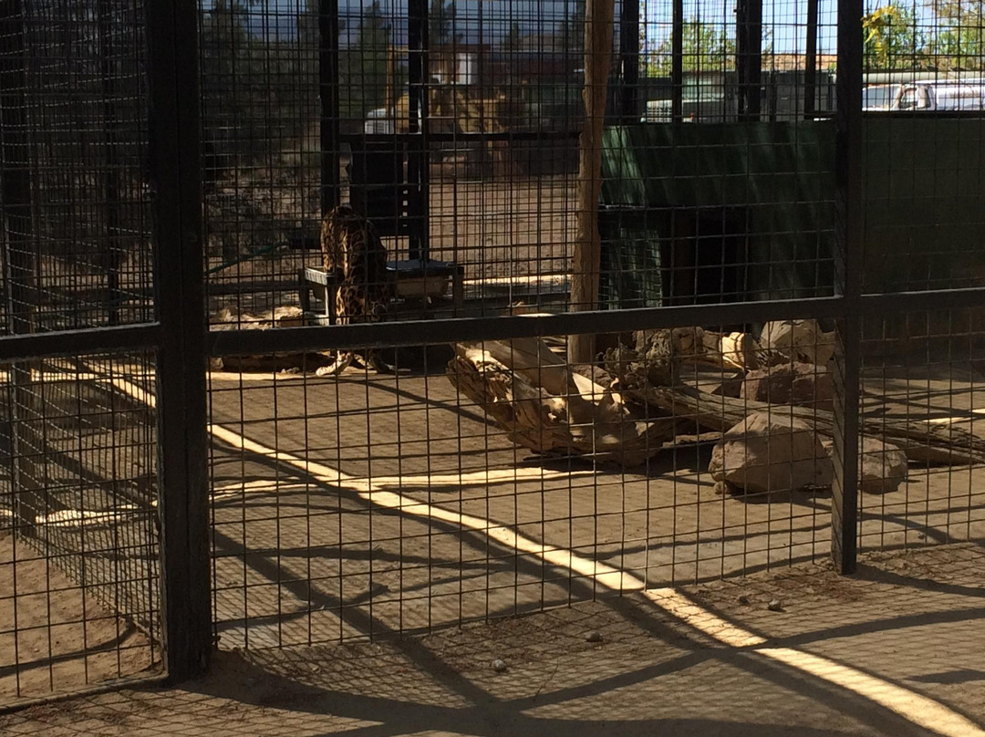 The Cat House-Rosamond必去景点