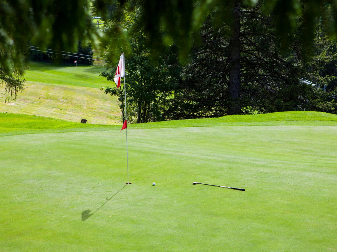 Carezza Golf Club景点图片
