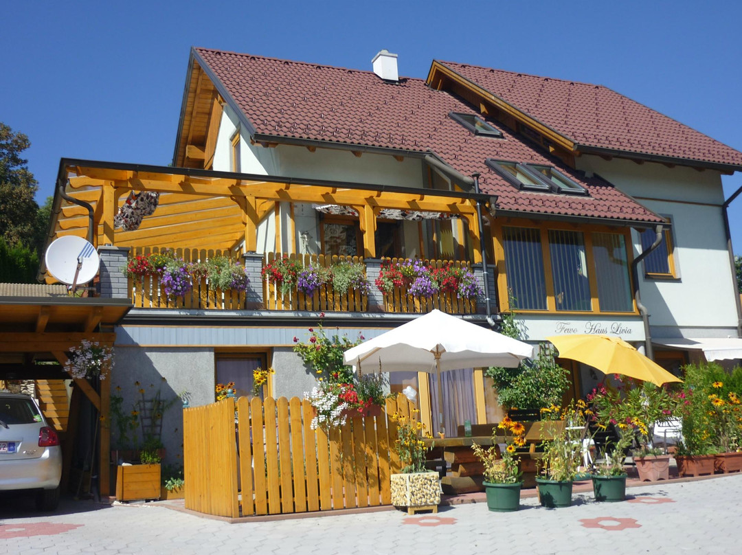 Glodnitz酒店住宿-Ferienwohnungen Haus Livia