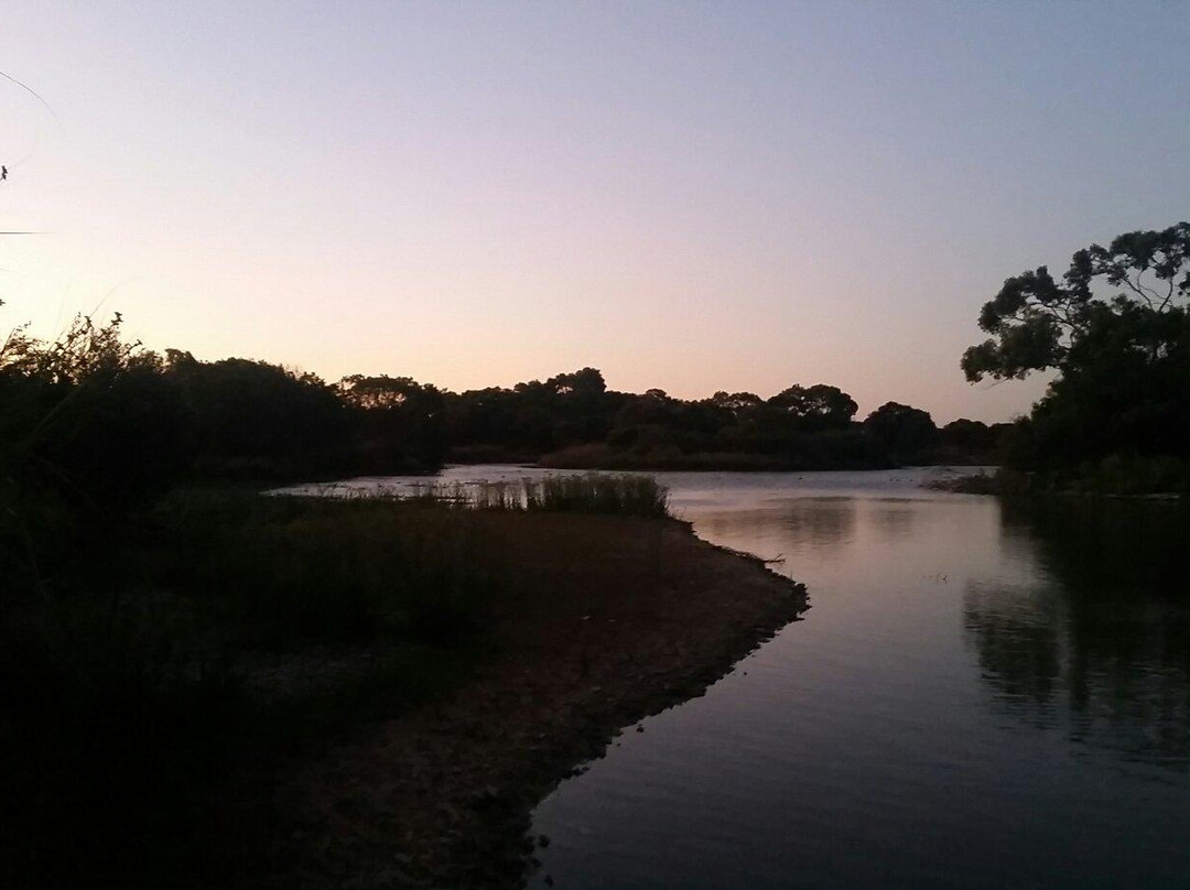 Lake McIntyre-Millicent必去景点