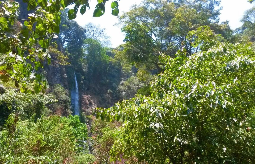 Benowo waterfall景点图片