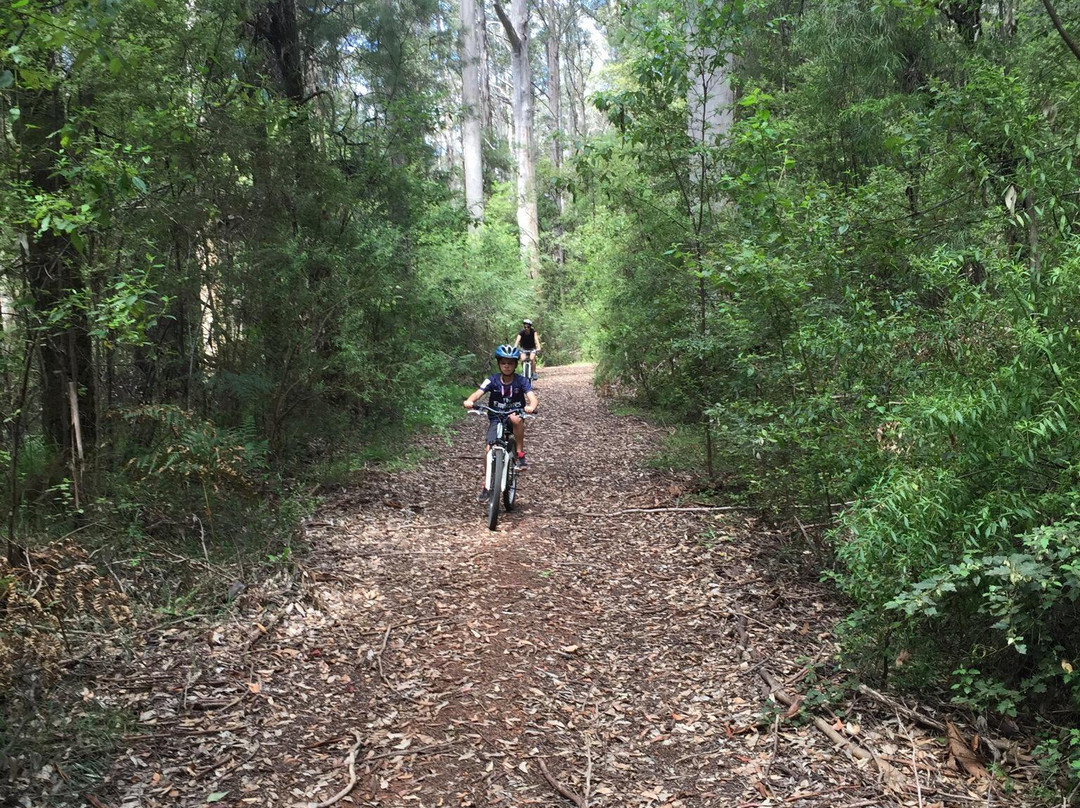 Pemberton Mountain Bike Park-彭伯顿必去景点