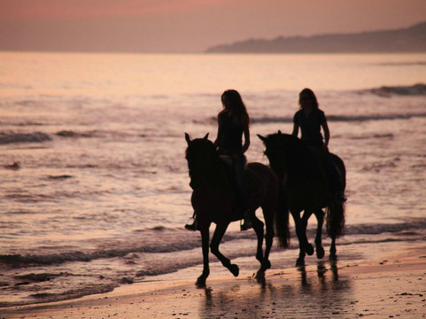 Hurricane Hipica - Day Tours-塔里法必去景点