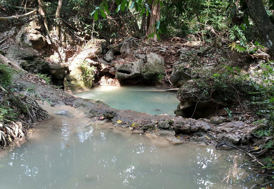 Sap Chomphu Arboretum景点图片