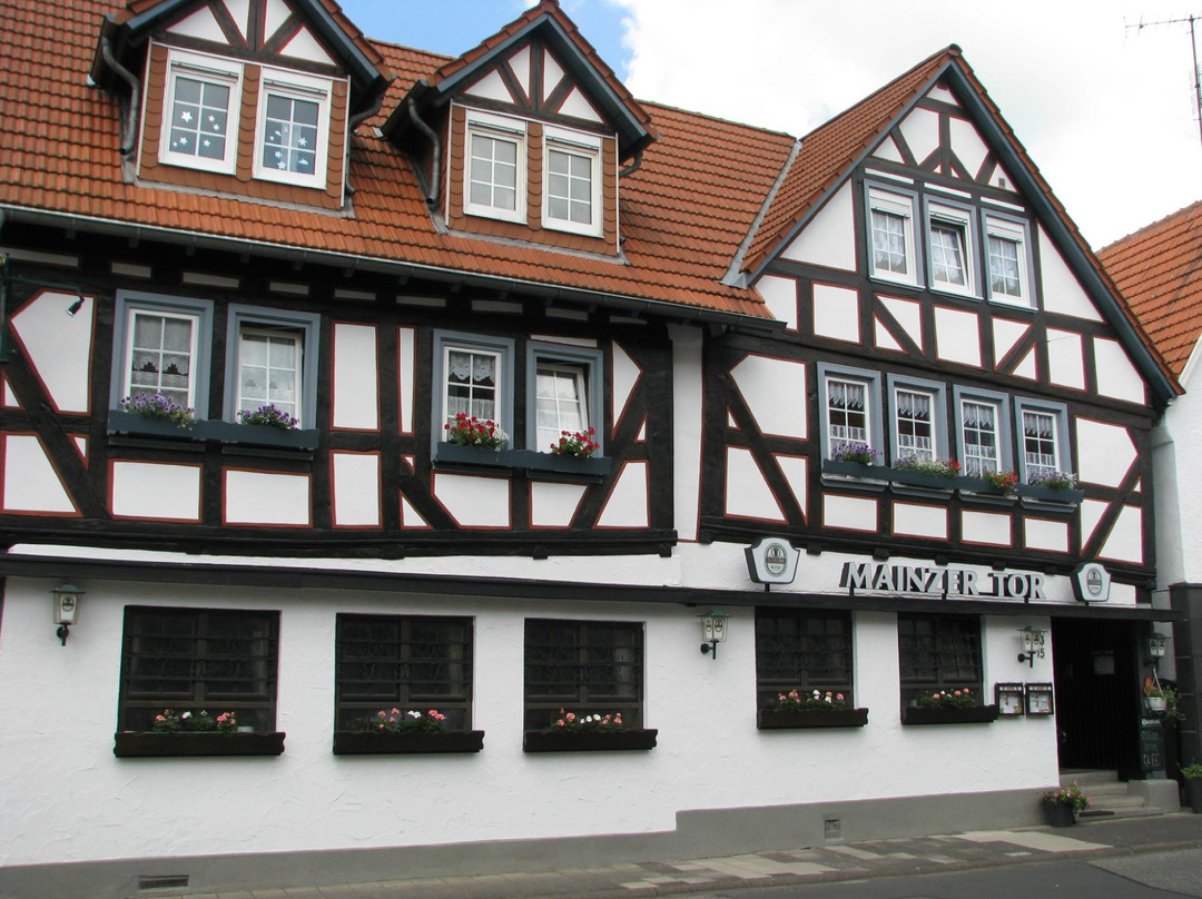 Alsfeld旅游攻略图片