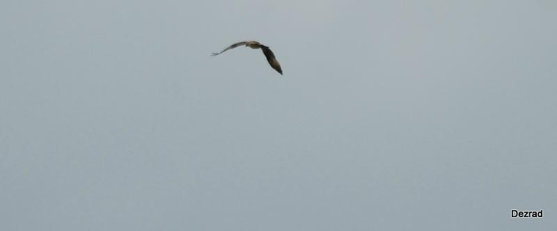 Nosterfield Nature Reserve景点图片