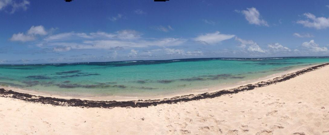 Loblolly Bay-Anegada必去景点