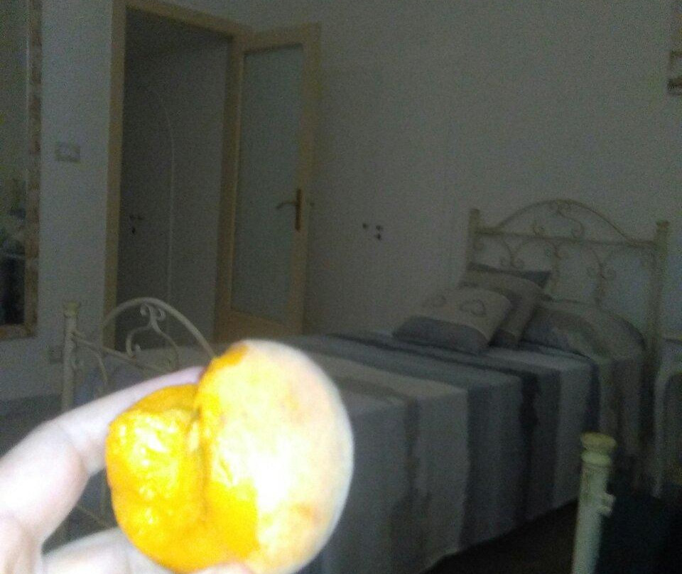 B&B Paradiso San Vincenzo