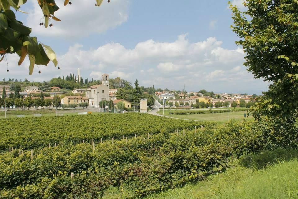 Custoza旅游攻略图片